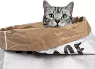 Muestras Gratis Whiskas Anti-HairBall