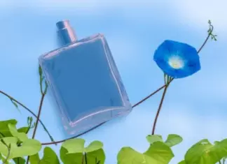 Muestras Gratis de la fragancia «Y» de Yves Saint Laurent (YSL)