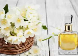 Muestras Gratis de las fragancias Starck Paris