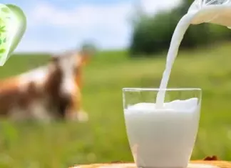 Muestras gratis Puleva Eco