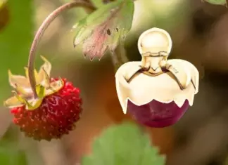 Muestras gratis de Las Delices de Nina Ricci