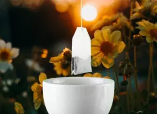 Muestras gratis de las nuevas infusiones en cápsulas de Pompadour