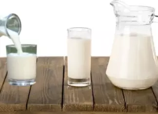 Prueba GRATIS Leche Pascual Desnatada 0%