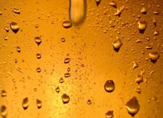 Prueba Gratis Buckler 0,0 Radler