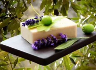 Prueba gratis los nuevos productos de Lagarto