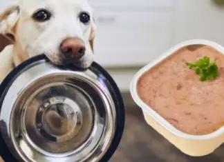 Purina Sortea 2.500 Bolsitas de Purina Beyond Simply 9 para Perros