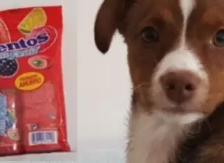 Reembolso Mentos Multipack o Chicle