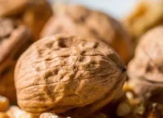 Reembolso Parcial de Nueces Pizarro de Borges