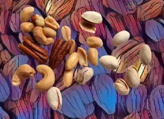 Reembolso de Frutos Secos de Grefusa