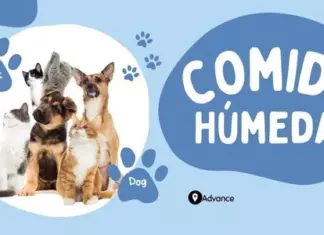 Reembolso Comida Húmeda Advance