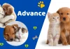 Reembolso Parcial Advance Puppy&Kitten
