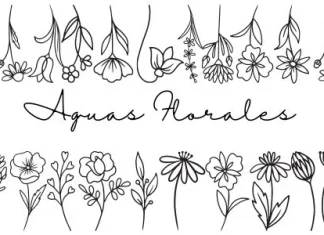 Cuidado y Limpieza Facial con Aguas Florales (Hidrolatos)