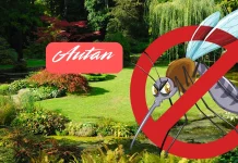 Reembolso 50% para Autan