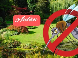 Reembolso 50% para Autan