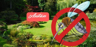 Reembolso 50% para Autan