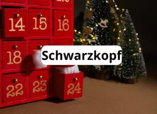 Calendario Adviento Schwarzkopf 2022