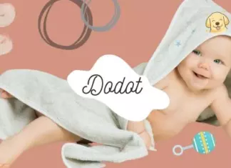 Regalo Directo comprando Pañales + Toallitas de Dodot