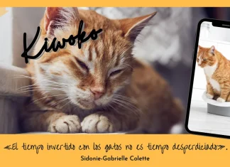 Kiwoko Regala un Saco de Arena para Gato