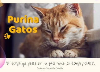 Reembolso de Purina Pro Plan Gato