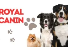 Reembolso del 50% para Royal Canin