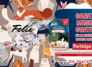 Felix sortea 3 lotes de Snack para Gato