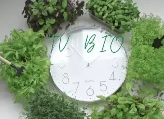 Probadores para Tv Bio