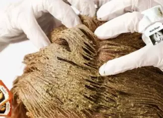 Tinte Natural Henna para el Cabello