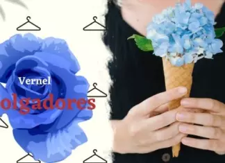 Verner Regala 260 Colgadores Para tu Armario Vernel Regalo Gratis Colgador Ropa