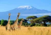 Viajes a África y escapadas que merece la pena planificar Viajes y escapadas a Africa