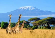 Viajes a África y escapadas que merece la pena planificar Viajes y escapadas a Africa
