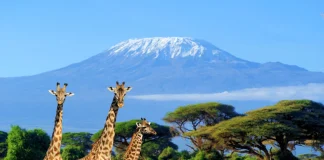 Viajes a África y escapadas que merece la pena planificar Viajes y escapadas a Africa